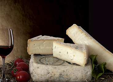 Taleggio