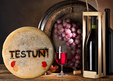 Testun